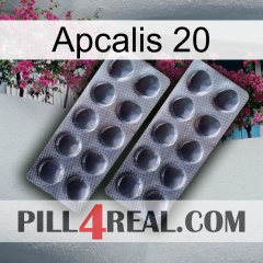 Apcalis 20 31